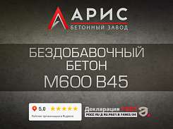 Бездобавочный бетон М600 В45 F300 W14